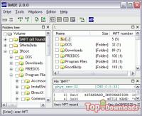   DMDE (DM Disk Editor and Data Recovery)